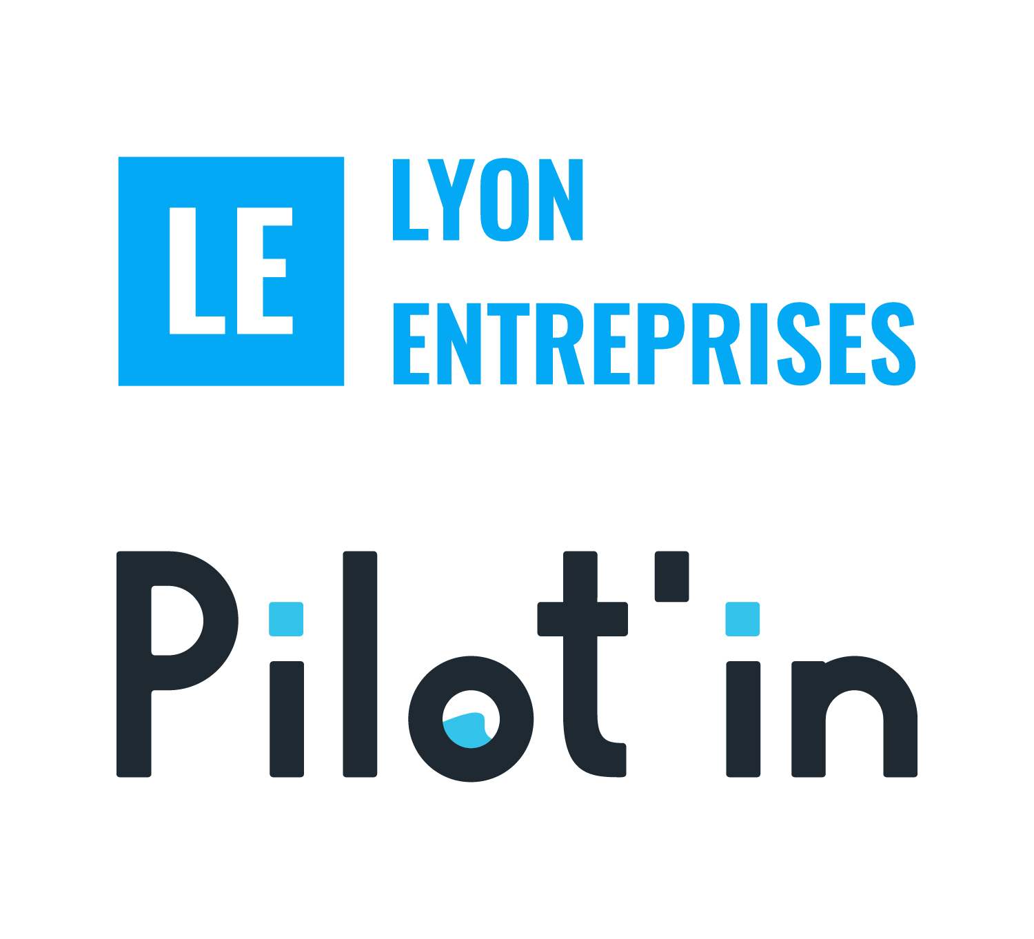 pilot-in-lyon-entreprises